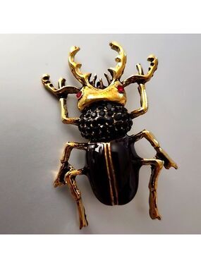 Beetle Bug Brooch  Just Amazing Must have not for the Girly Girl